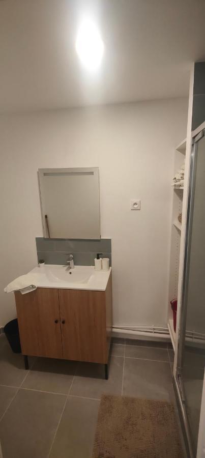 Saint-Maur-des-Fossés Grand Studio Proche De Paris מראה חיצוני תמונה