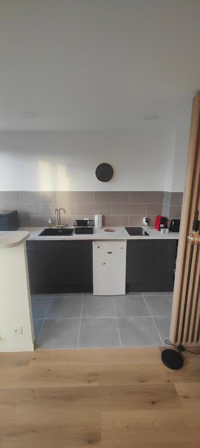Saint-Maur-des-Fossés Grand Studio Proche De Paris מראה חיצוני תמונה